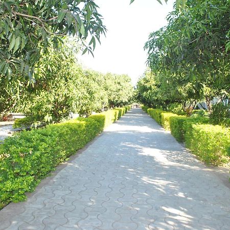סאסאן גיר Gir Jungle Lodge מראה חיצוני תמונה