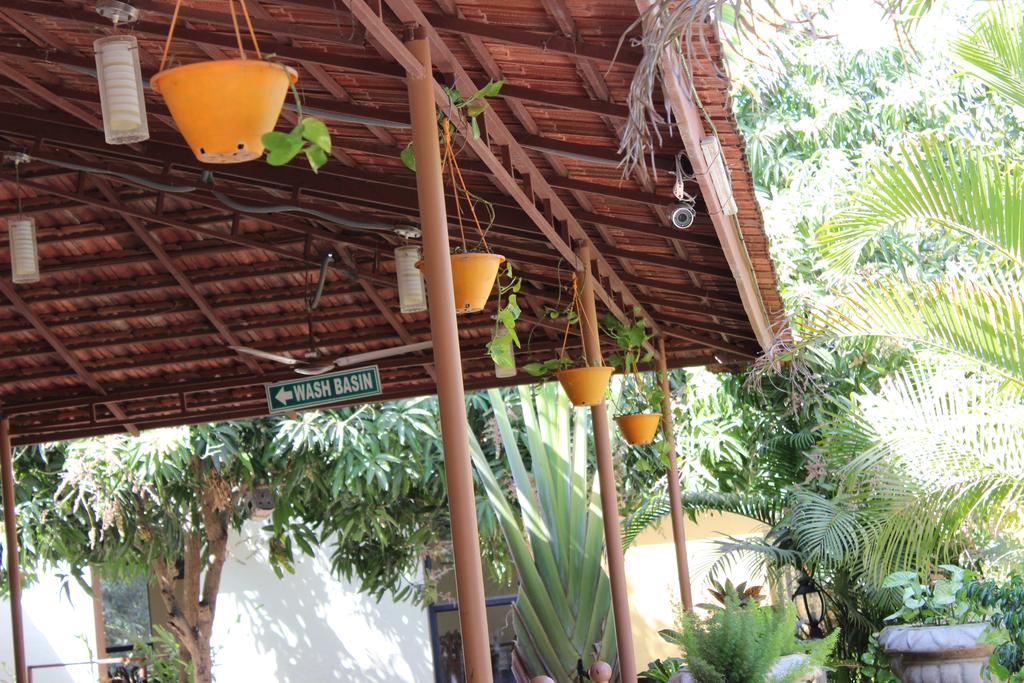 סאסאן גיר Gir Jungle Lodge מראה חיצוני תמונה