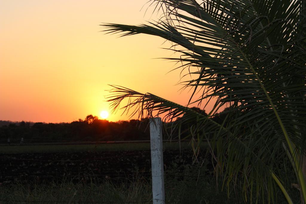 סאסאן גיר Gir Jungle Lodge מראה חיצוני תמונה